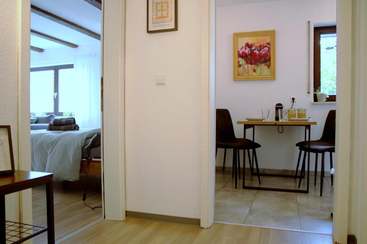 Studio-Apartment Mit Garten, Parkplatz & Kueche Оффенбург Экстерьер фото